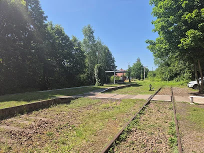 Lokalna Kolej Drezynowa (Regulice)