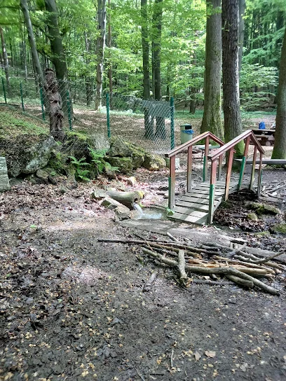 Źródło Bukowica